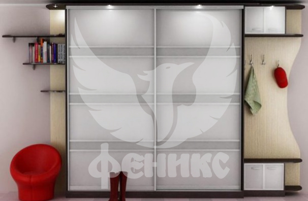 Шкаф купе в прихожую Осуми